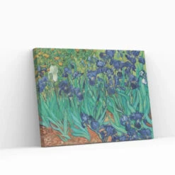 Irises By Vincent Van Gogh Large Size Canvas Painting(Irises By Vincent Van Gogh Large Size 22x28 Inches Canvas Painting High Quality Giclee Print Ready To Hang) -Artociti Sale Store irises by vincent van gogh large size canvas painting 22x28 inch 134
